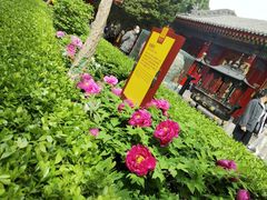 -西安市广仁寺