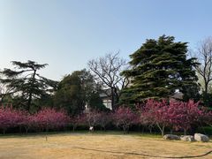-济南大明湖景区
