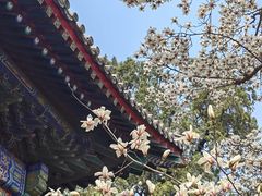 -红螺寺