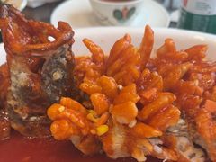 -梁溪河畔·吉府花园(南长街南下塘店)