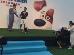 -枫花园汽车电影院(朝阳公园店)