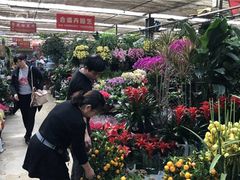 -秦美花卉(天朗·莱茵小城2期店)
