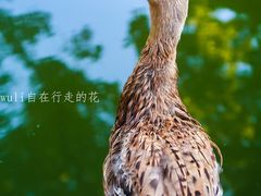 -乌山风景区