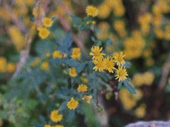 -野三坡清泉山风景区