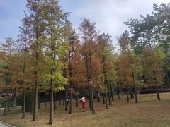-晓港公园