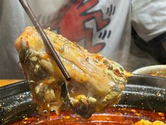-小饕荟雅安贡椒鱼鲜馆(广福桥店)