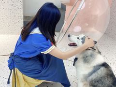 -Husky Go!哈士奇体验馆·宠物咖啡厅狗咖