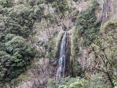 -龙湾潭国家森林公园