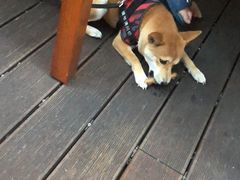 -MR.ROCKY洛奇先生RESTAURANT&BAR(宝安壹方城店)
