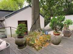 -青竺·青竹茶舍(断桥店)
