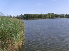 -野鸭湖国家湿地公园