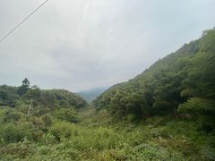 -长沙黑麋峰国家森林公园