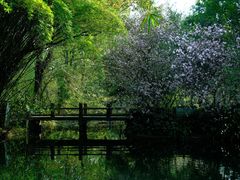 -棠湖公园