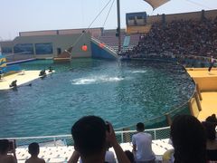 -秦皇岛乐岛海洋王国