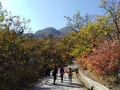 -北京鹫峰国家森林公园