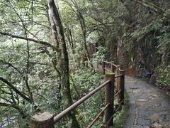 -井冈山风景名胜区
