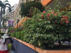 -兴旺海鲜砂煲王