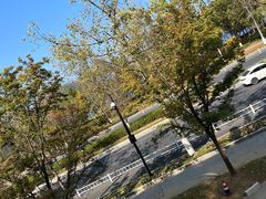 -宝荣鱼馆·临湖之宴(千岛湖店)