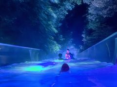 -花水湾第一村温泉大酒店