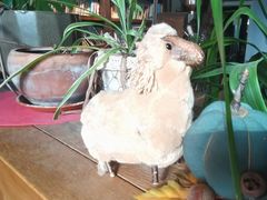 -房角石咖啡与书(吉大南校店)