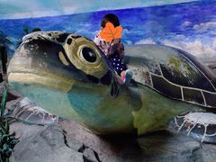 -泉城欧乐堡海洋极地世界