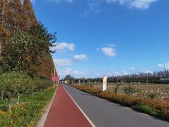 -上海长兴岛郊野公园