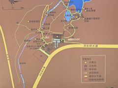 -天生桥景区