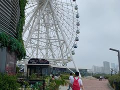 -琴岛之星摩天轮