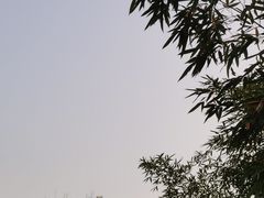 -北京美神宫艺术主题温泉酒店