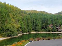 -武陵山森林公园