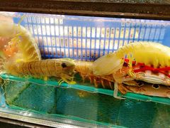 -盒马鲜生(皇庭广场店)