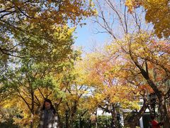 -钓鱼台国宾馆