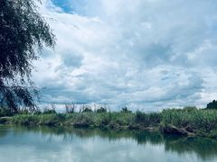 -捞渔河湿地公园