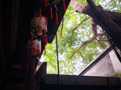 -文儒九号·闽菜馆(三坊七巷店)