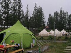 -前小桔亲子创意农场·草莓采摘·露营烧烤