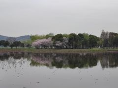 -无锡蠡湖国家湿地公园-蠡园