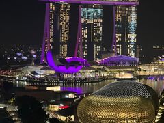 -新加坡瑞士史丹福酒店