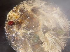 -锅老头海鲜铁锅炖