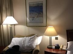 -成都天府丽都喜来登饭店