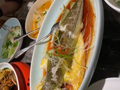 -前海沿·青岛菜(乐客城店)
