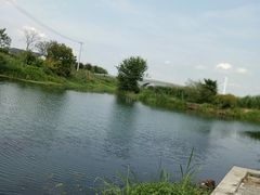 -小陆莲花蟹园农家乐(莲花岛店)