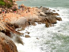 -广东惠东海龟国家级自然保护区