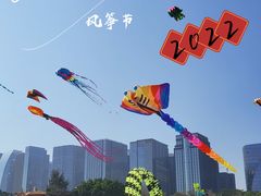-巨鹏飞梦幻海岸