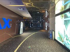 -万达影城(江桥万达广场IMAX店)