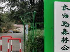 -长白岛森林公园