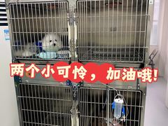 -总动员动物医院(宝丰院店)