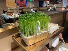 -海底捞火锅(西单店)