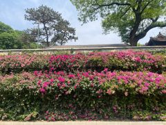 -红螺寺