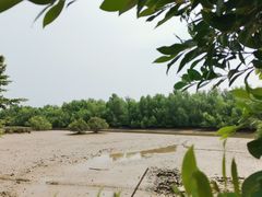 -崖口红树林海鲜餐厅
