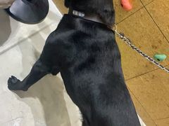 -尽峰攀岩 Acme Climbing